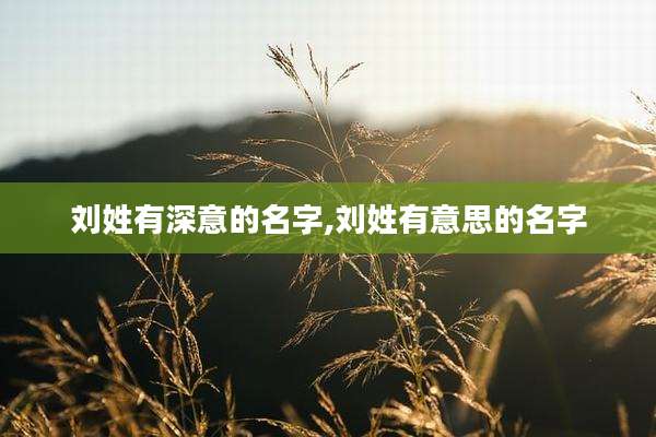 刘姓有深意的名字,刘姓有意思的名字