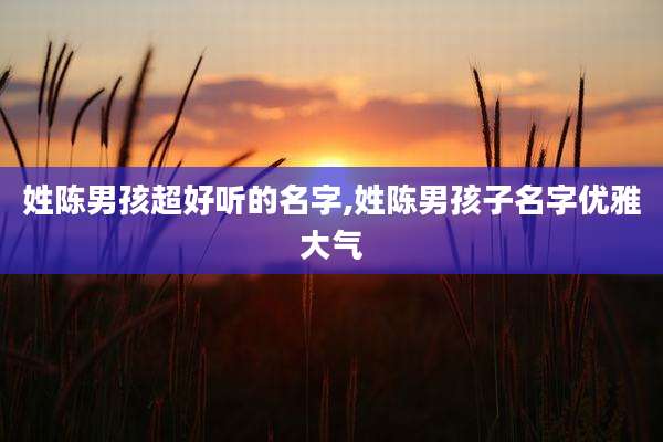姓陈男孩超好听的名字,姓陈男孩子名字优雅大气