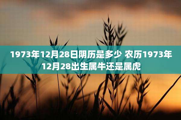 1973年12月28日阴历是多少 农历1973年12月28出生属牛还是属虎