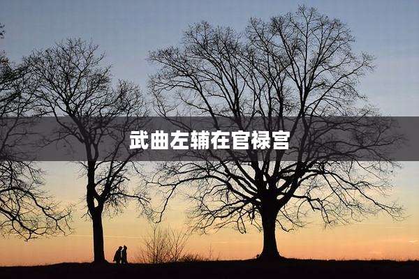 武曲左辅在官禄宫