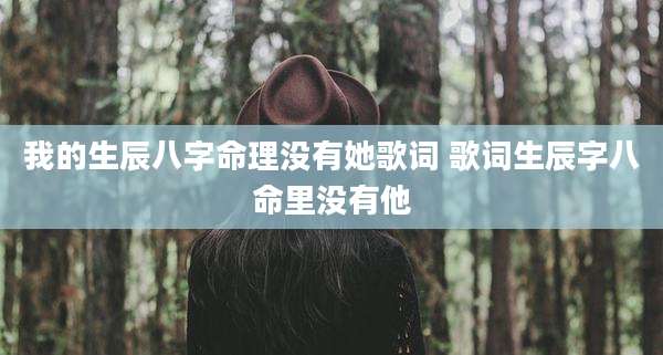 我的生辰八字命理没有她歌词 歌词生辰字八命里没有他