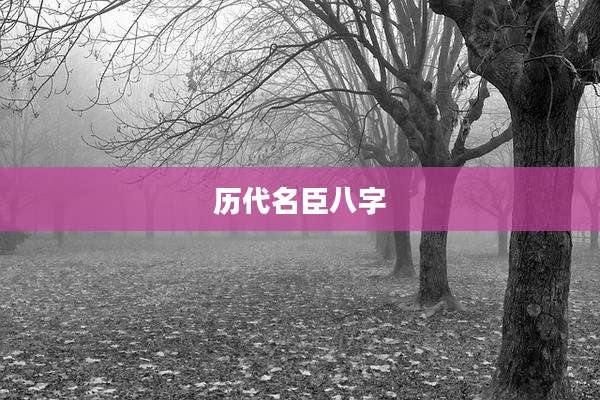 历代名臣八字