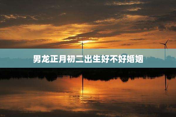 男龙正月初二出生好不好婚姻