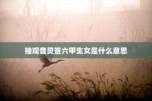 抽观音灵签六甲生女是什么意思