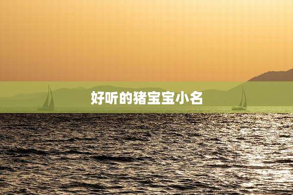 好听的猪宝宝小名