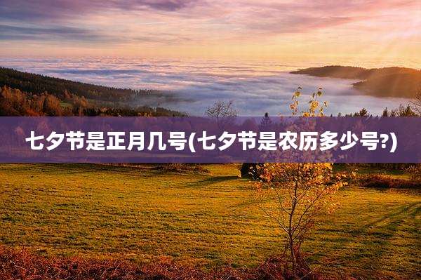 七夕节是正月几号(七夕节是农历多少号?)