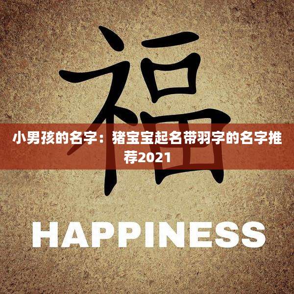小男孩的名字：猪宝宝起名带羽字的名字推荐2021