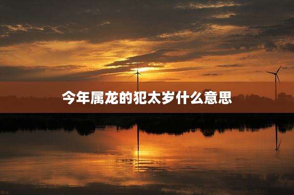 今年属龙的犯太岁什么意思