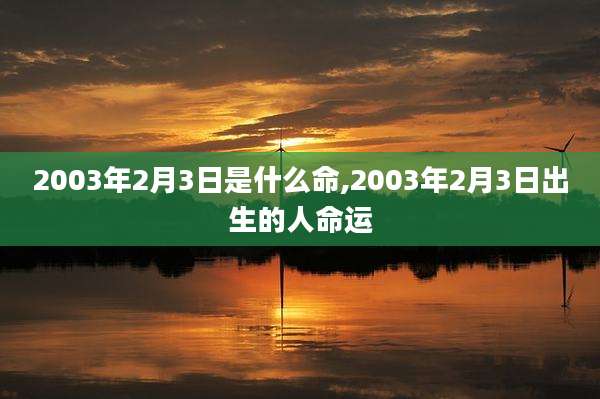 2003年2月3日是什么命,2003年2月3日出生的人命运