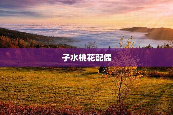 子水桃花配偶