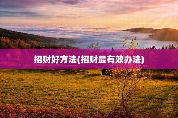 招财好方法(招财最有效办法)