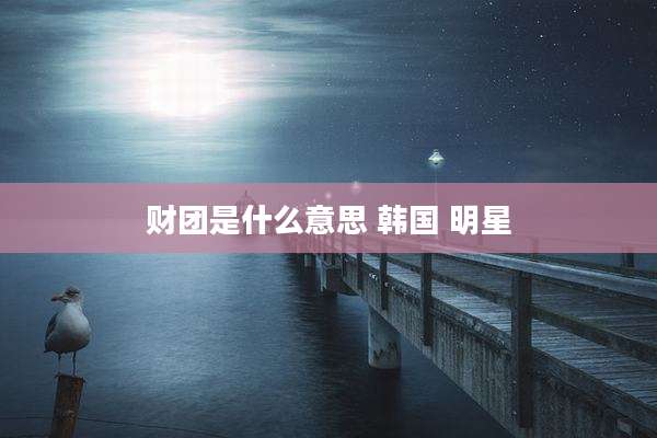 财团是什么意思 韩国 明星