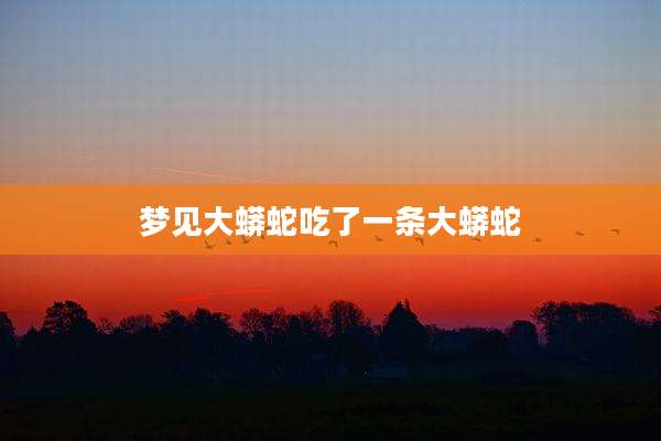 梦见大蟒蛇吃了一条大蟒蛇