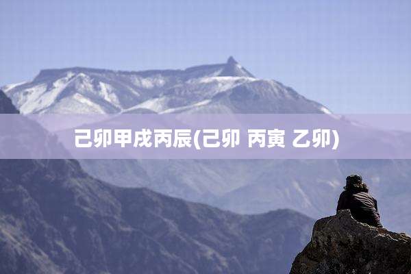 己卯甲戌丙辰(己卯 丙寅 乙卯)