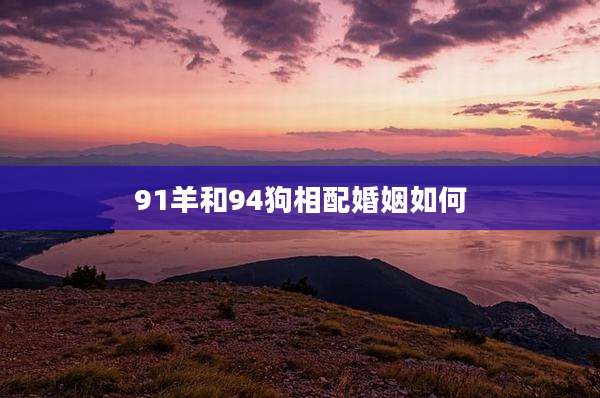 91羊和94狗相配婚姻如何