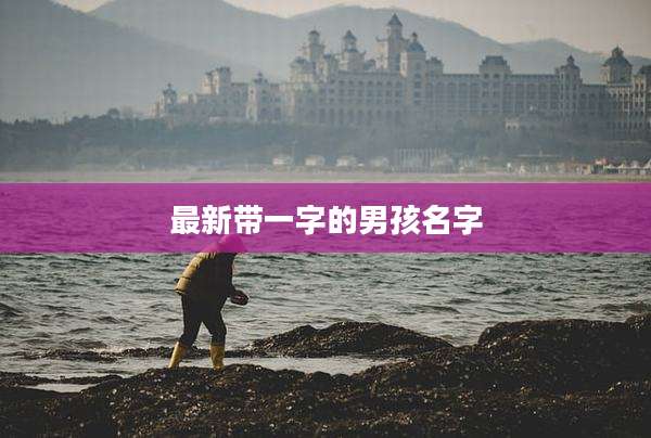 最新带一字的男孩名字