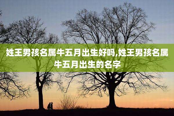 姓王男孩名属牛五月出生好吗,姓王男孩名属牛五月出生的名字