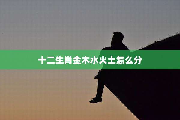 十二生肖金木水火土怎么分