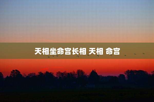 天相坐命宫长相 天相 命宫