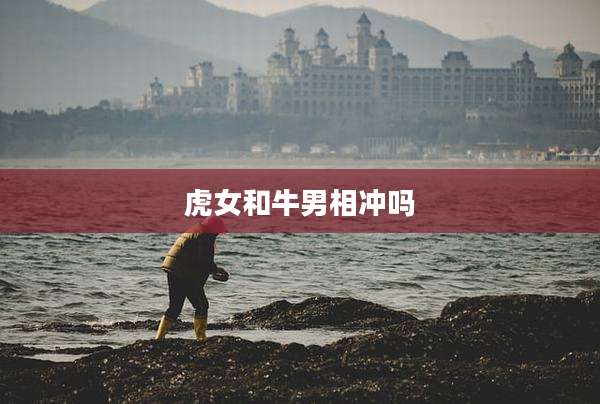 虎女和牛男相冲吗