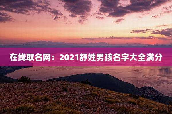 在线取名网：2021舒姓男孩名字大全满分