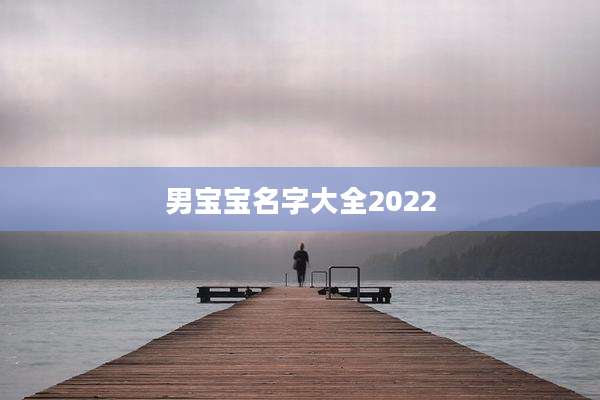 男宝宝名字大全2022