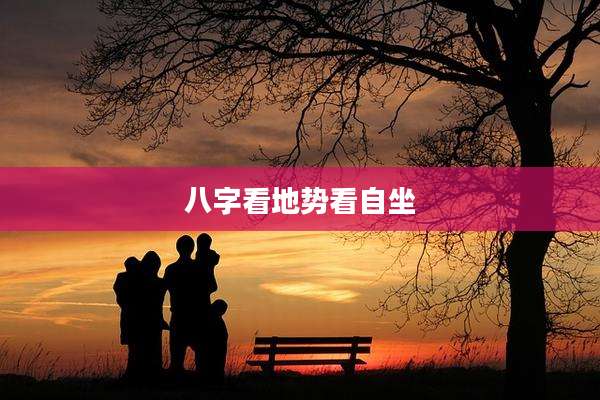 八字看地势看自坐