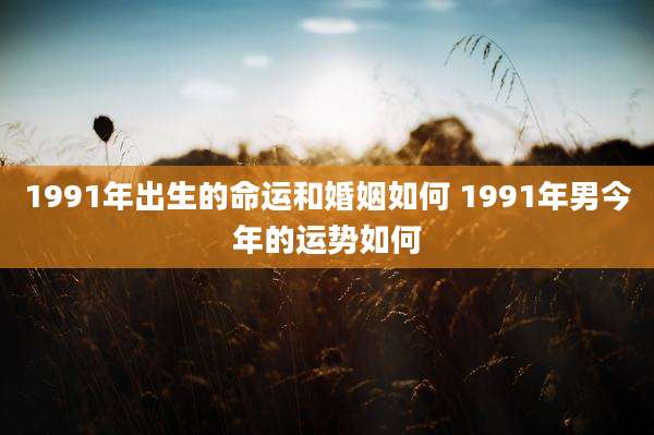 1991年出生的命运和婚姻如何 1991年男今年的运势如何