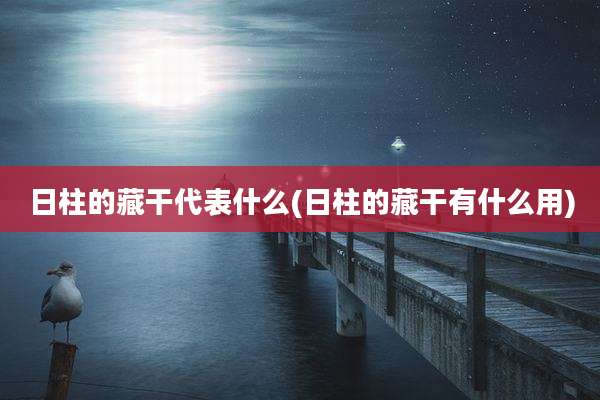 日柱的藏干代表什么(日柱的藏干有什么用)