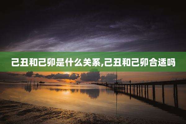 己丑和己卯是什么关系,己丑和己卯合适吗
