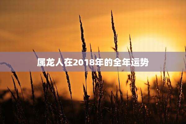 属龙人在2018年的全年运势