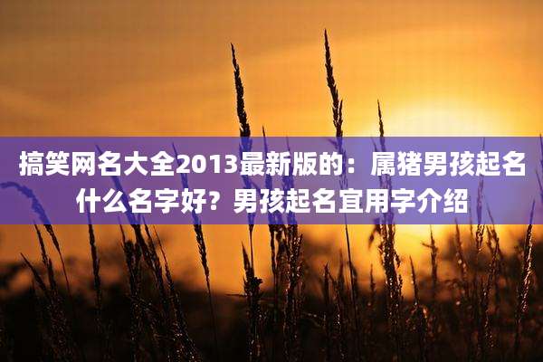 搞笑网名大全2013最新版的:属猪男孩起名什么名字好?男孩起名宜用字介绍