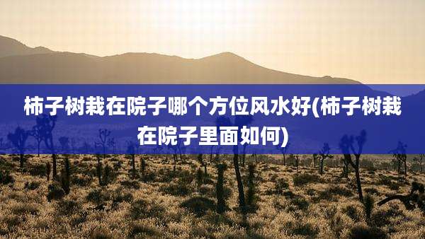 柿子树栽在院子哪个方位风水好(柿子树栽在院子里面如何)