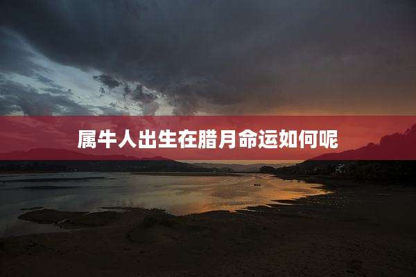 属牛人出生在腊月命运如何呢