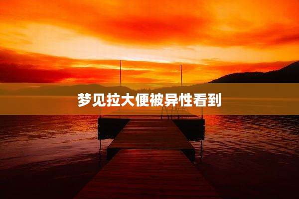 梦见拉大便被异性看到