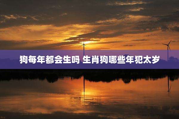 狗每年都会生吗 生肖狗哪些年犯太岁