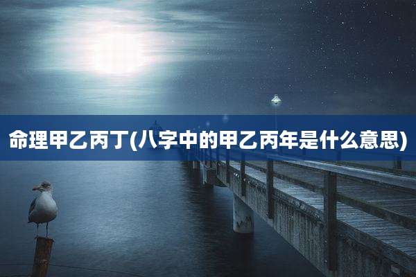 命理甲乙丙丁(八字中的甲乙丙年是什么意思)