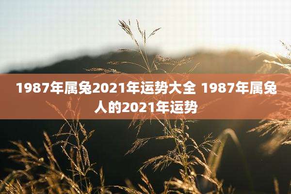 1987年属兔2021年运势大全 1987年属兔人的2021年运势