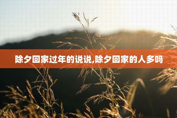 除夕回家过年的说说,除夕回家的人多吗