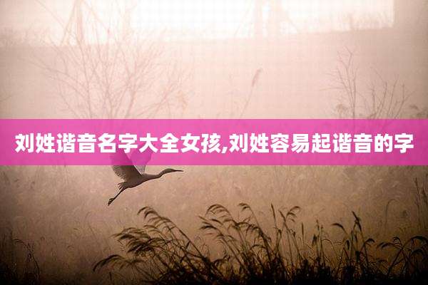 刘姓谐音名字大全女孩,刘姓容易起谐音的字