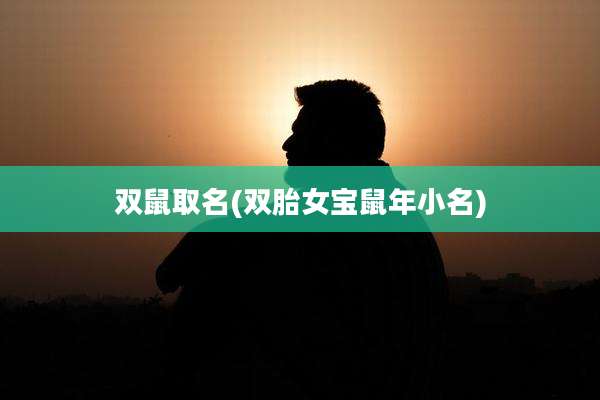 双鼠取名(双胎女宝鼠年小名)