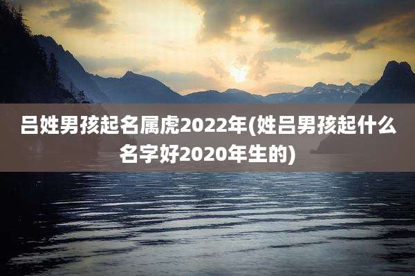 吕姓男孩起名属虎2022年(姓吕男孩起什么名字好2020年生的)