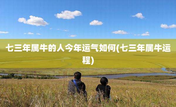 七三年属牛的人今年运气如何(七三年属牛运程)