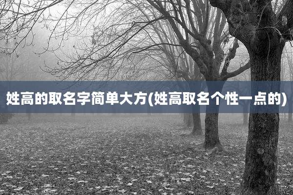 姓高的取名字简单大方(姓高取名个性一点的)