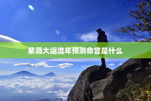 紫薇大运流年预测命宫是什么