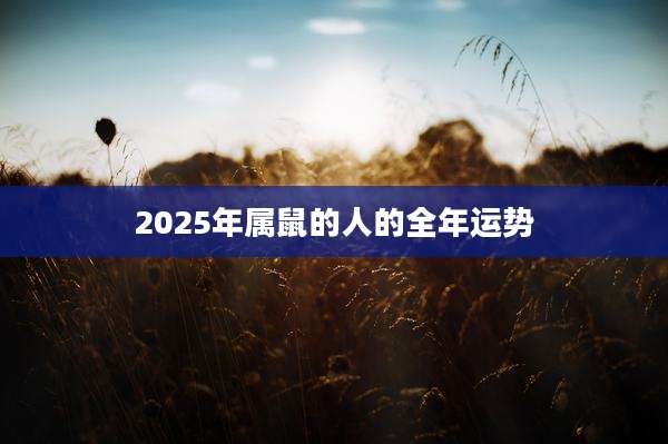 2025年属鼠的人的全年运势