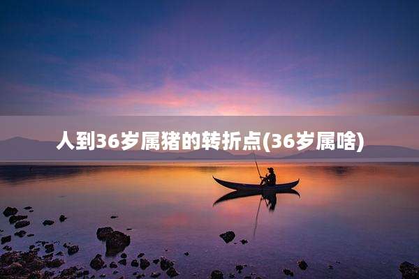 人到36岁属猪的转折点(36岁属啥)