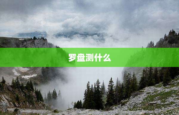 罗盘测什么