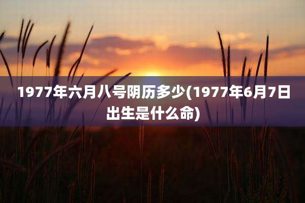 1977年六月八号阴历多少(1977年6月7日出生是什么命)