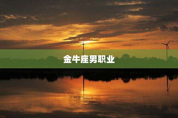 金牛座男职业